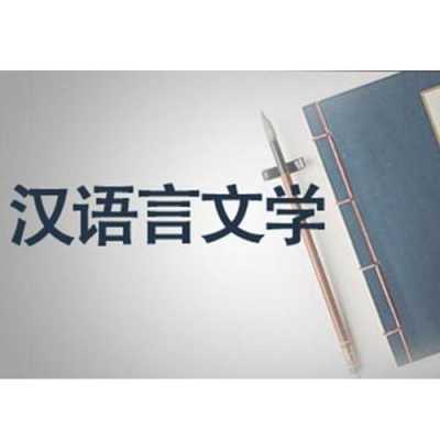 汉语言文学特点（汉语言文学特点包括哪些）