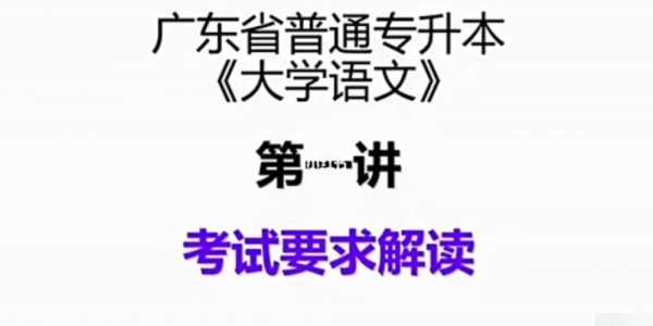 广东文学语言（广东汉语言文学）