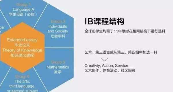 IBDP语言B课程主题（ib课程语言ab和b区别）