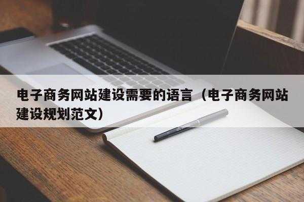 建网站语言（网站建设中的语言是什么意思）