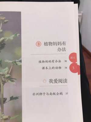 哪些植物的语言（你是否听说过植物也有自己的语言?）