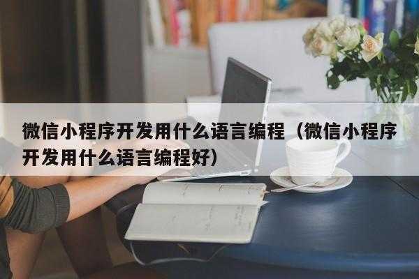 微信编程用什么语言（微信编程用什么语言写）