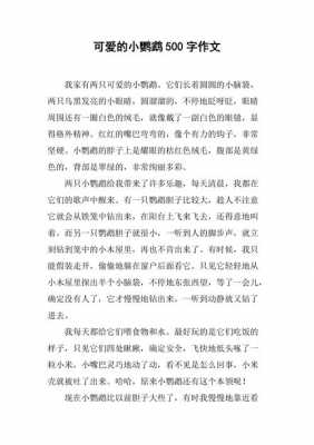 语言：《我和鹦鹉说话》（我和鹦鹉的故事作文500字）