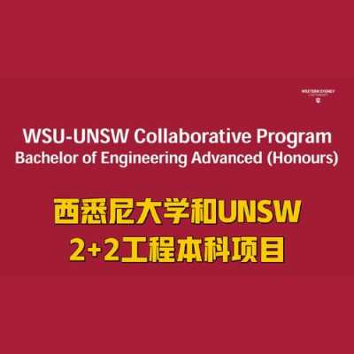 unsw大学语言（universal languages）