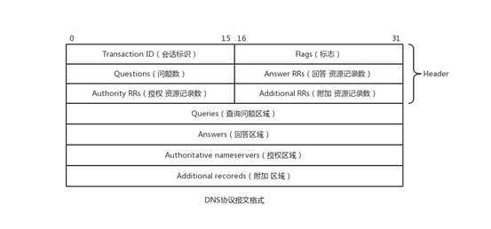 c语言%dn（c语言dns）