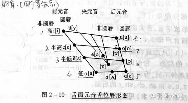 语言学舌头（语言学概论舌位图）