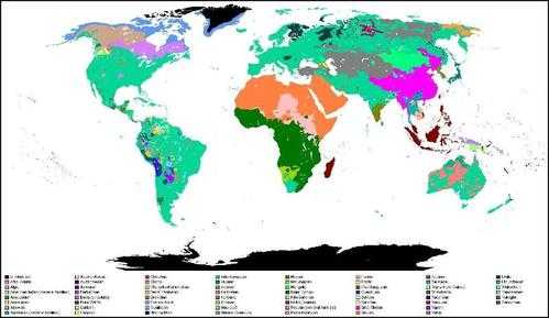 世界分布最广语言（世界分布最广的语系）
