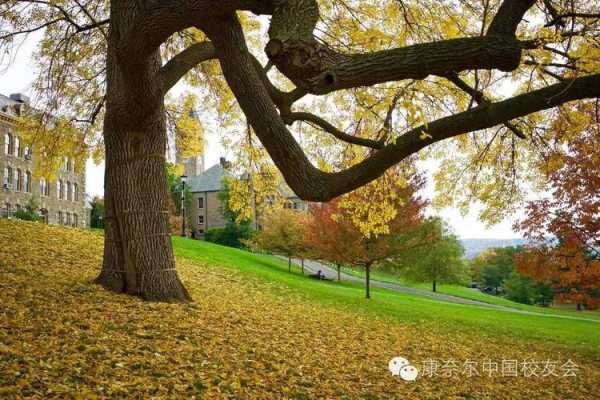 康奈尔大学景观语言要求（康奈尔大学校园风景）