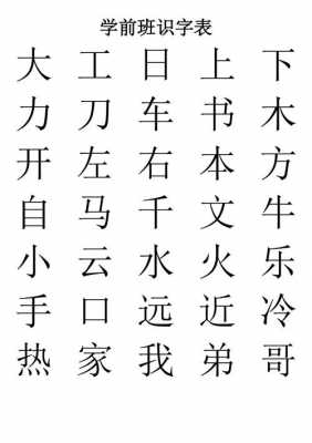 学前语言识字教学（学前班识字教学）