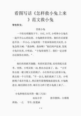 中班语言救小兔（中班语言救小兔故事）