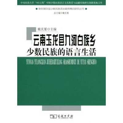 浅析白族语言发展（浅析白族语言发展的意义）