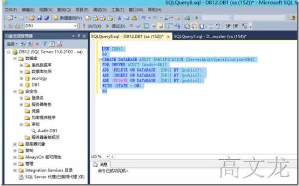 审计sql语言（sql server审计数据分析）