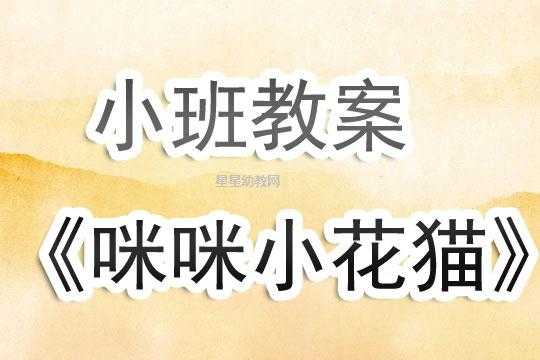 语言咪咪猫反思小班（语言咪咪猫教案反思）