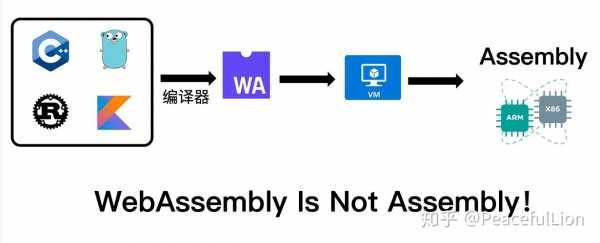 语言组织的（web是由什么语言组织的）