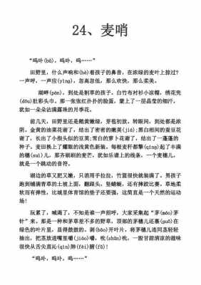 麦哨全文语言（麦哨阅读原文）