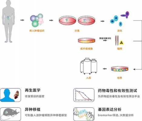 c语言基因编辑（基因表达的重编程）