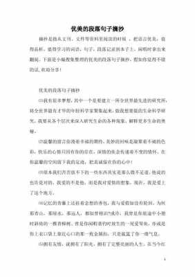 语言摘录（语言摘录什么意思）