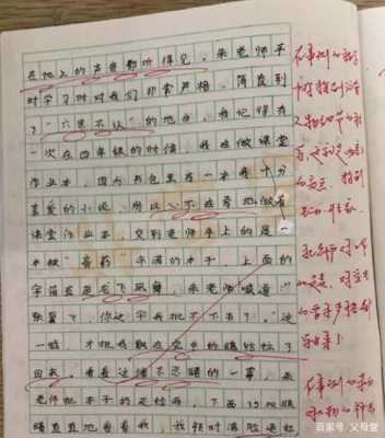 作文语言800（作文语言啰嗦,怎么写评语）