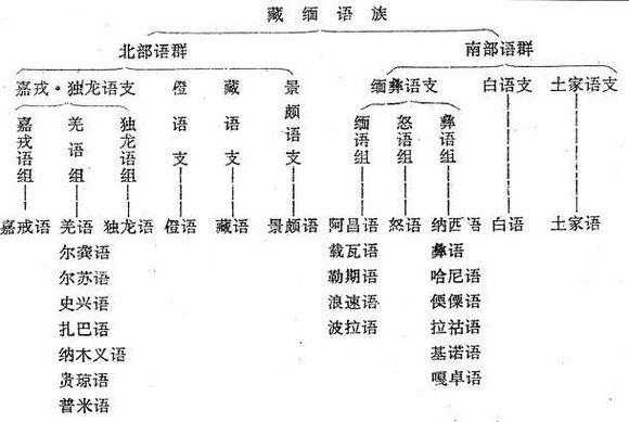 日本语言起源（日本语言起源于藏缅语）