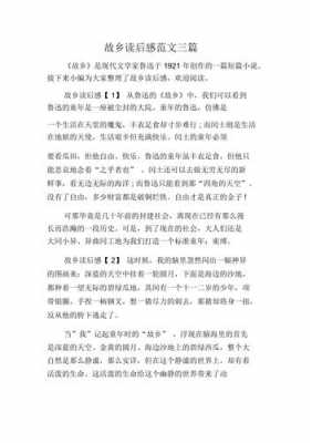 语言的故乡语言小谈（语言的故乡读后感800字）