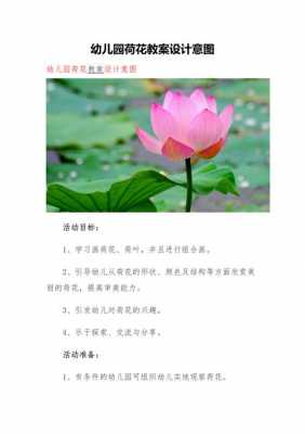 语言莲花教案（莲花教案幼儿园）