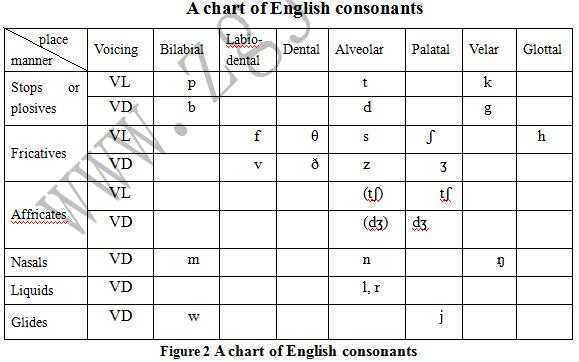 英语语言学+语音（英语语言学语音符号）