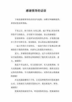 感恩领导的语言的简单介绍