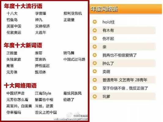 网络语言指什么（网络语言及其意思）