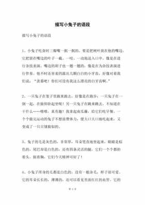 小兔子的语言（小兔子的语言是什么）