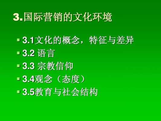 语言影响消费偏好（影响语言使用的社会文化因素）