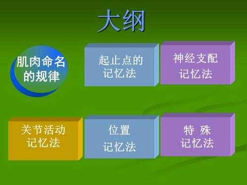 语言肌肉记忆（在肌肉记忆理论中讲话训练的正确的肌肉记忆该如何）