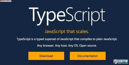 typescript语言（typescript t）