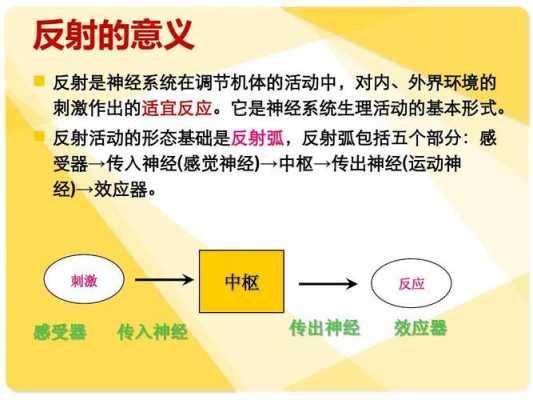 与语言文字有关的反射是（与语言文字有关的反射是人类特有的复杂反射例子）