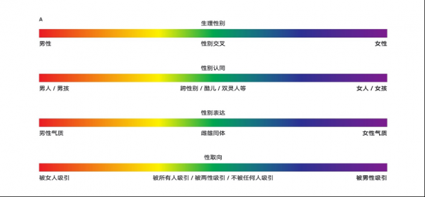 性别化语言（性别化的理论）