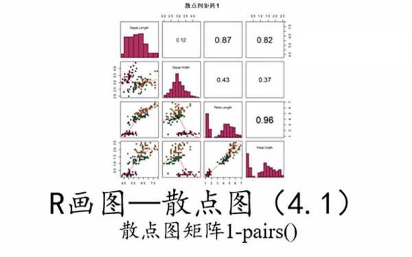 r语言关系图（r语言画相关系数图）