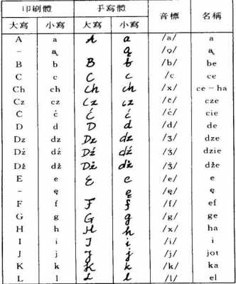 波兰语言英文（波兰语的英文）