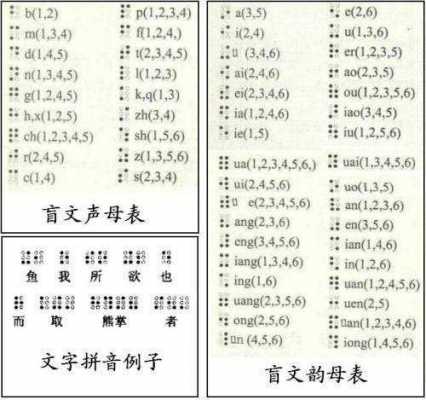 语言读字（语言念什么）