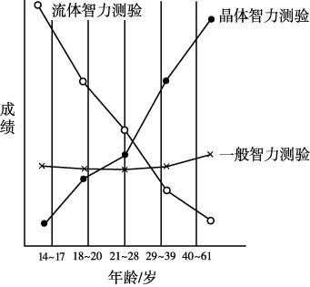 晶体智力学语言（晶体智力和晶体能力）