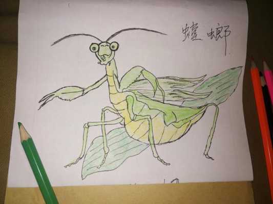 用生动语言描绘螳螂（用生动语言描绘螳螂的外形）