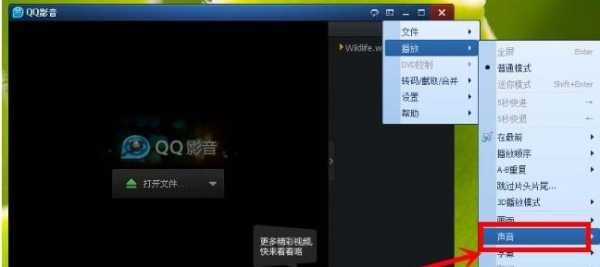QQ影音语言转换（影音如何切换音轨）
