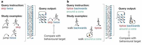 compositionality语言学（coordinative compounds语言学）