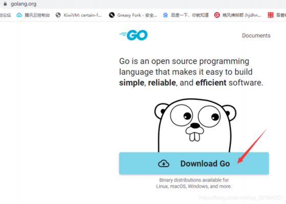 go语言1.3下载（go语言下载安装）