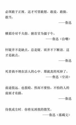 品评语言鲁迅（评价鲁迅的名言名句大全）