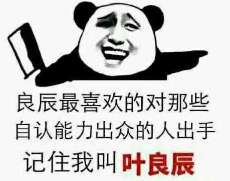 网络语言叶良辰（叶良辰出处）