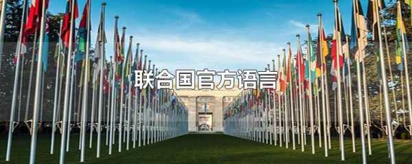 联合国高等语言（联合国官方语言种类）