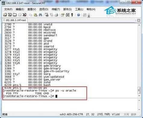 crt语言设置（crt操作命令）