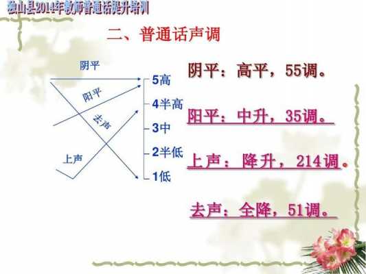 语言的声调（语言声调的划分）