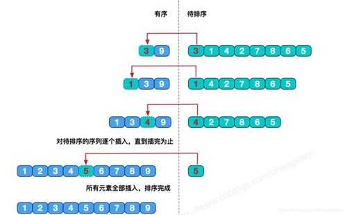 c语言数据结构插入排序（c语言数据结构顺序表的代码）