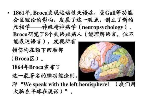 复述语言失语（broca失语复述能力）