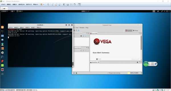 vega设置语言（vega studio）